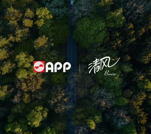 清风纸业-金光集团-集团榴莲视频下载app最新版
