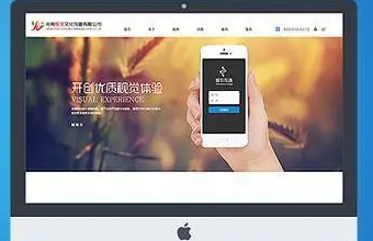 选择上海榴莲视频下载app在线观看，让你的企业官网更具品牌力和影响力